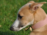 Coralinchen 2 Coralinchen 2