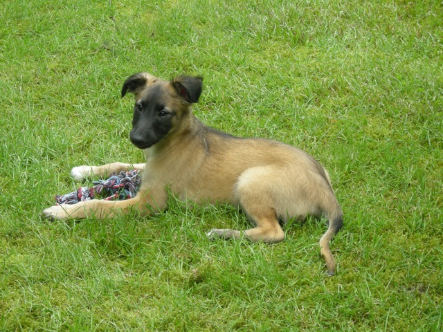 Guter Mond vom schwarzen Schwan Guter Mond vom schwarzen Schwan