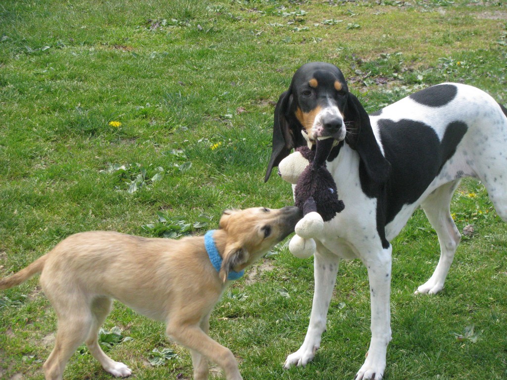 Fortuna Lächelt und Freundin Olivia Fortuna Lächelt und Freundin Olivia