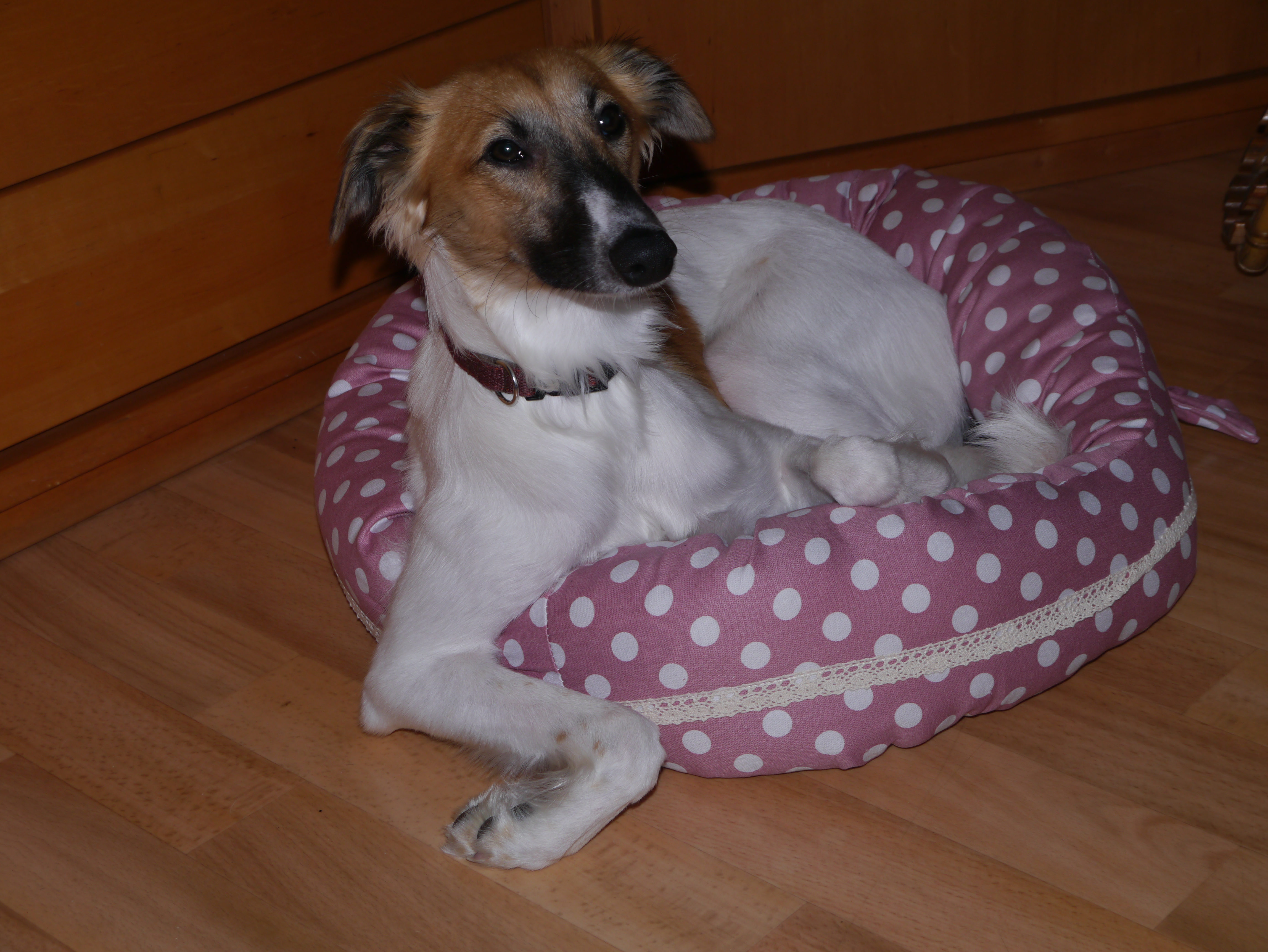 Für Musik 9 Monate  Für Musik 9 Monate