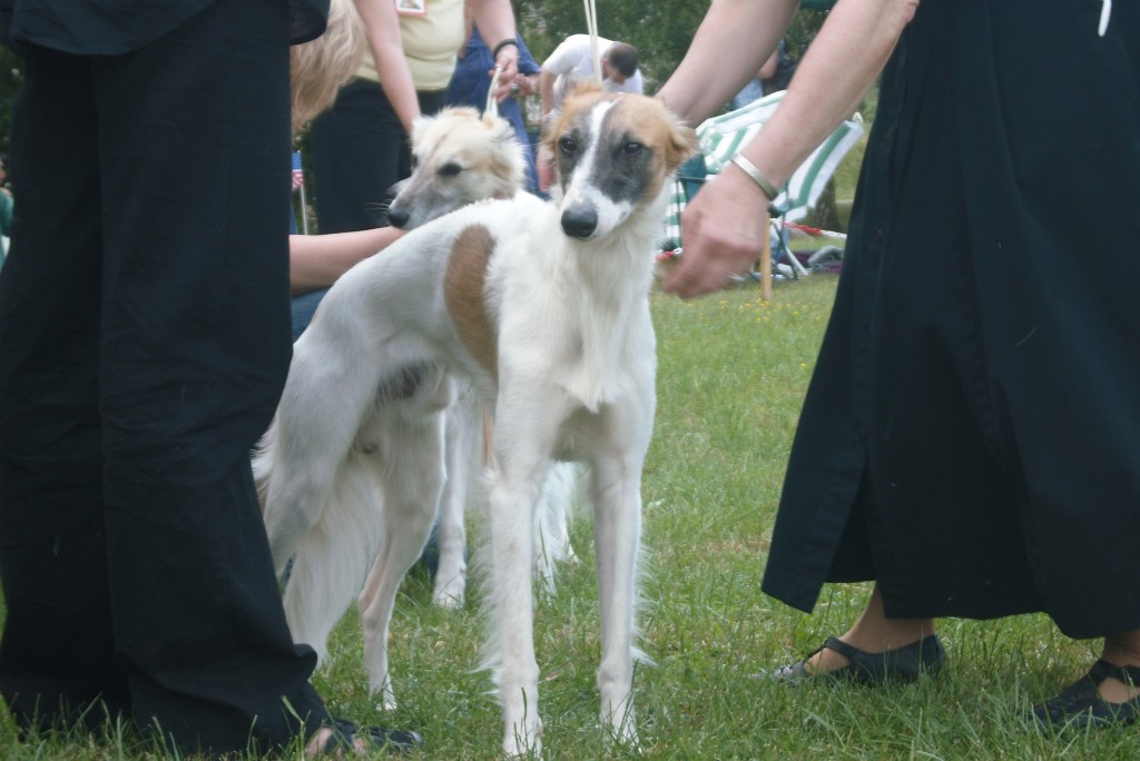 Siebenschön Siebenschön