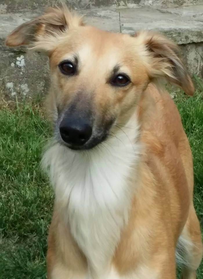 Fortuna lächtelt ( 15 Monate alt) Fortuna lächtelt ( 15 Monate alt)