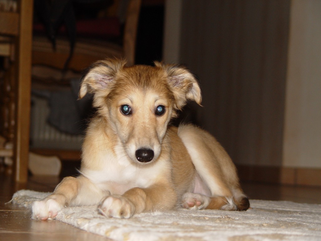 Helle nacht 10 einhalb wochen