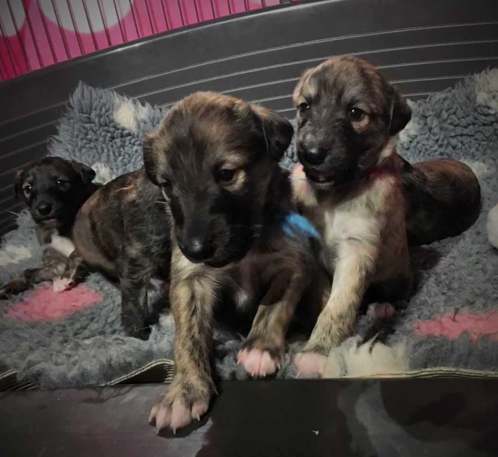 Ich und Du , Inschrift