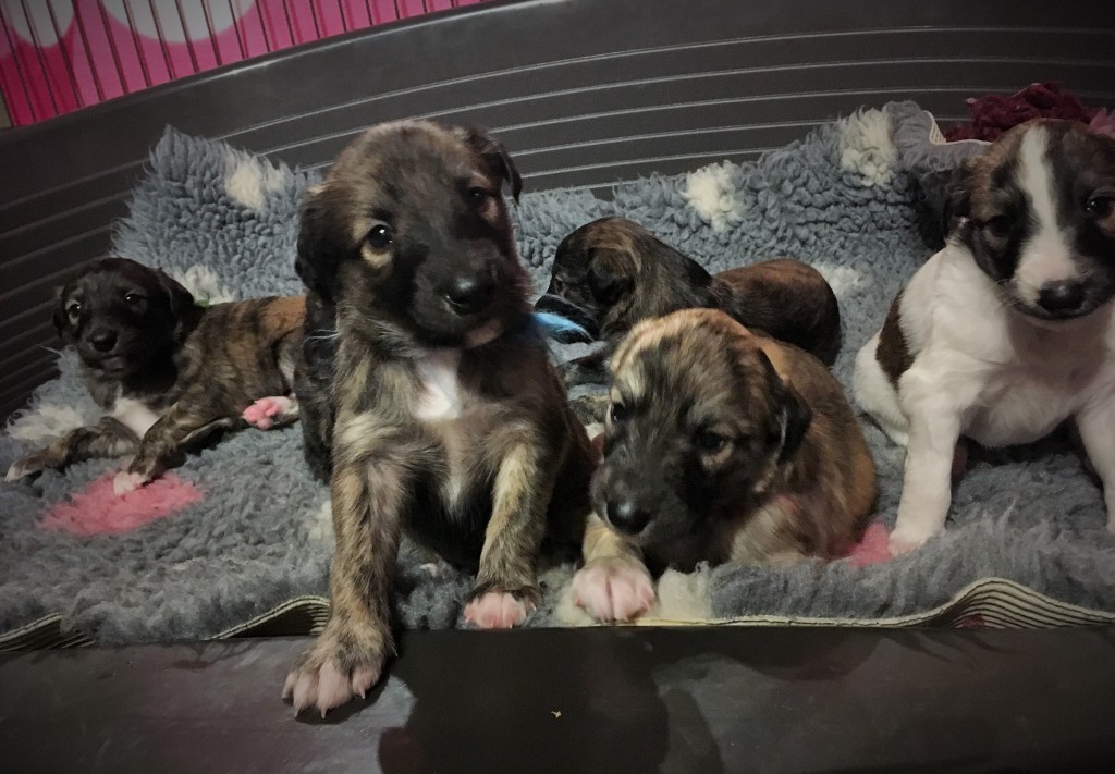 Ich und Du Inschrift