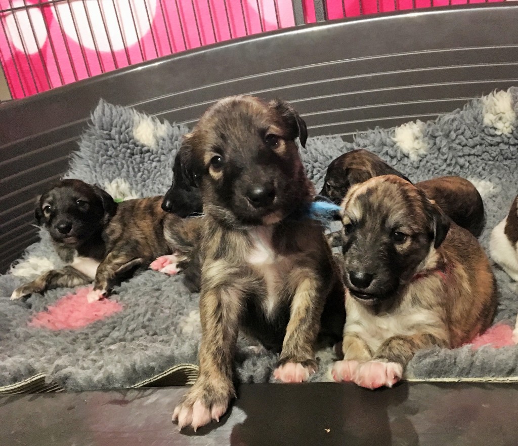 Ich und Du, Inschrift