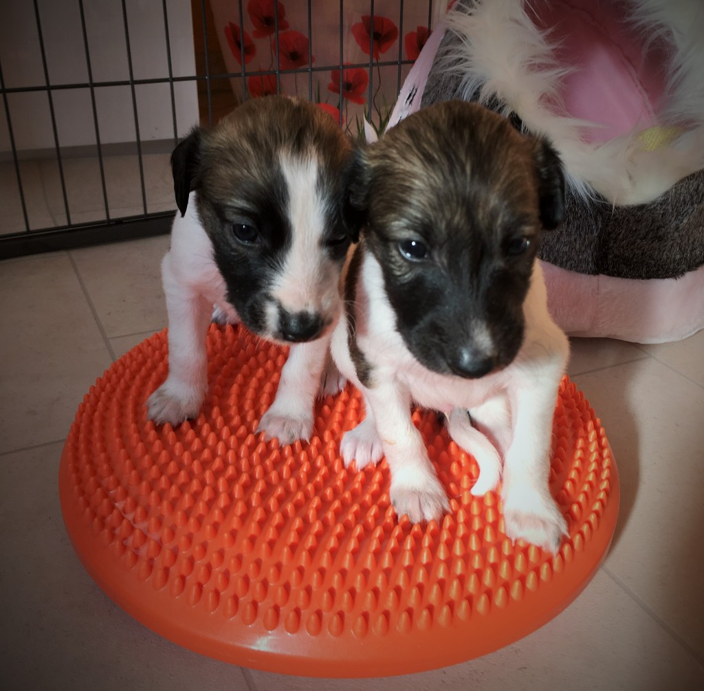 Jahreszeiten und Jene Große