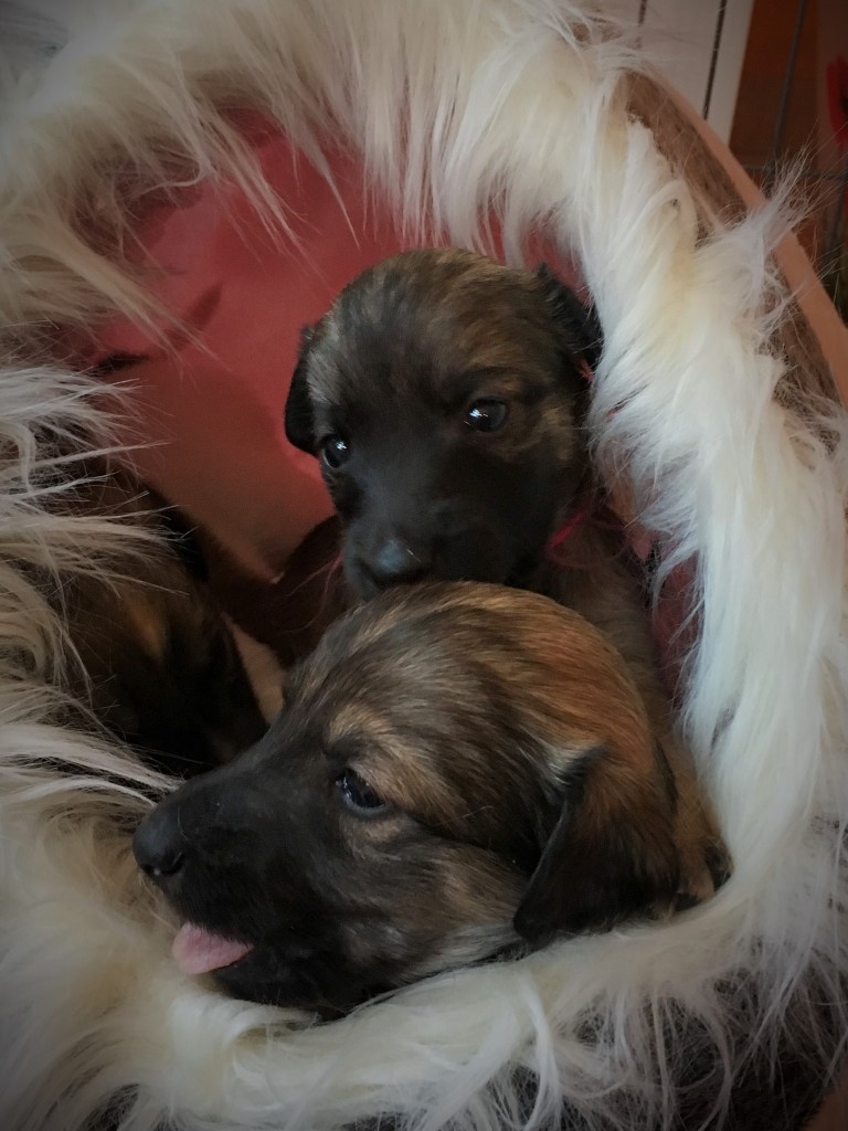 vorn Jeremia, Jugend