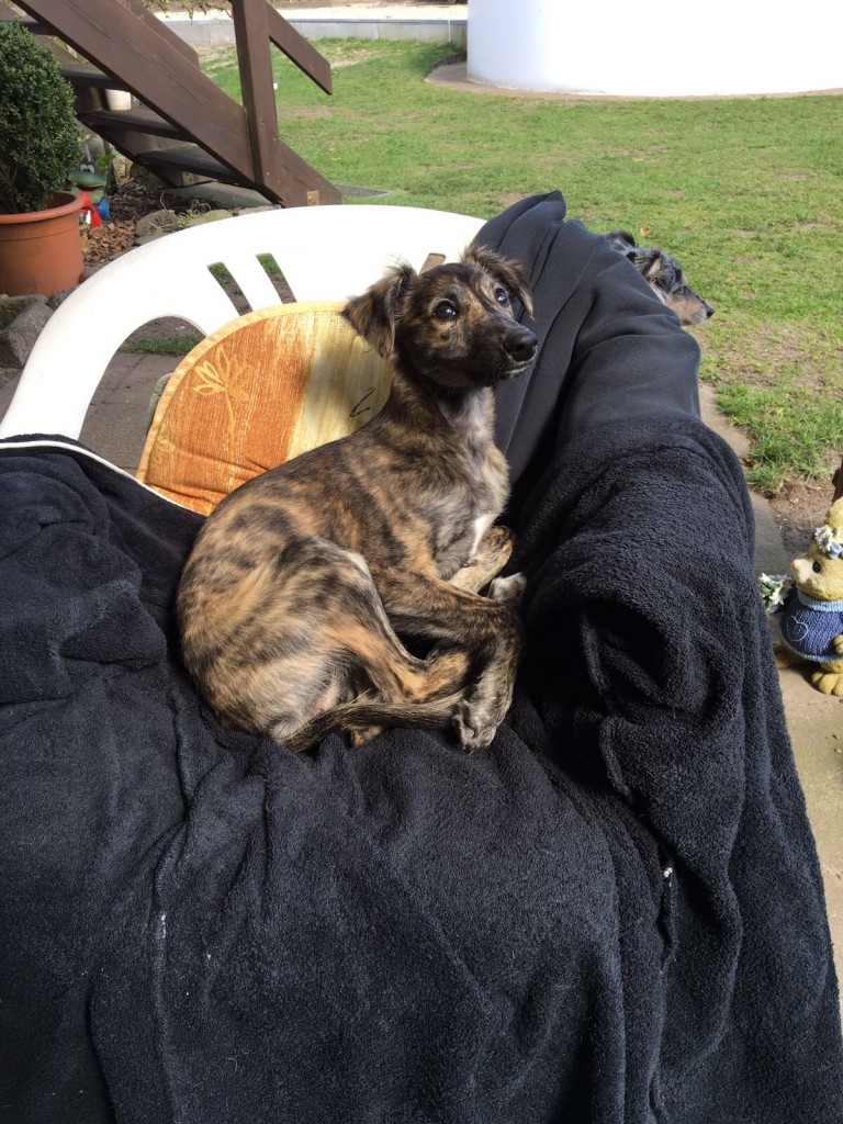 Idyll 12 wochen_8066