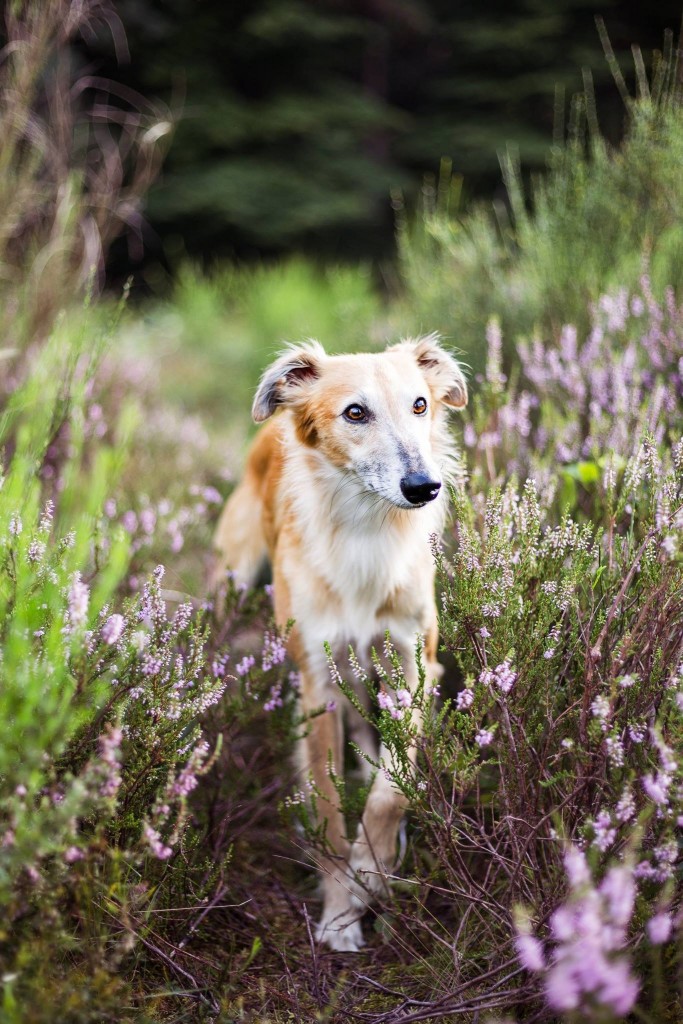 Frohe Botschaft 3 jahre img_6663