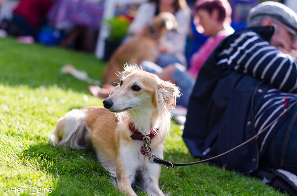 helle nacht 2 jahre jan jaguschDSC_0063