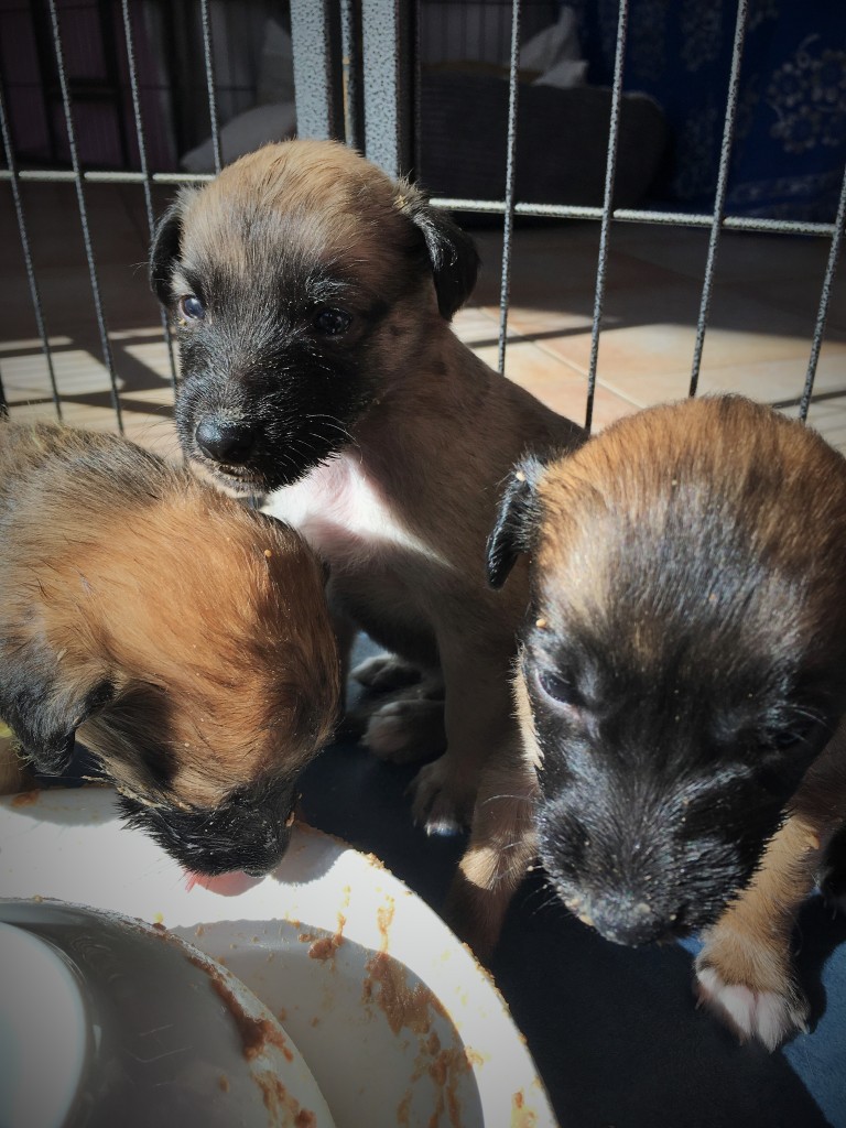 Klarheit in der Mitte