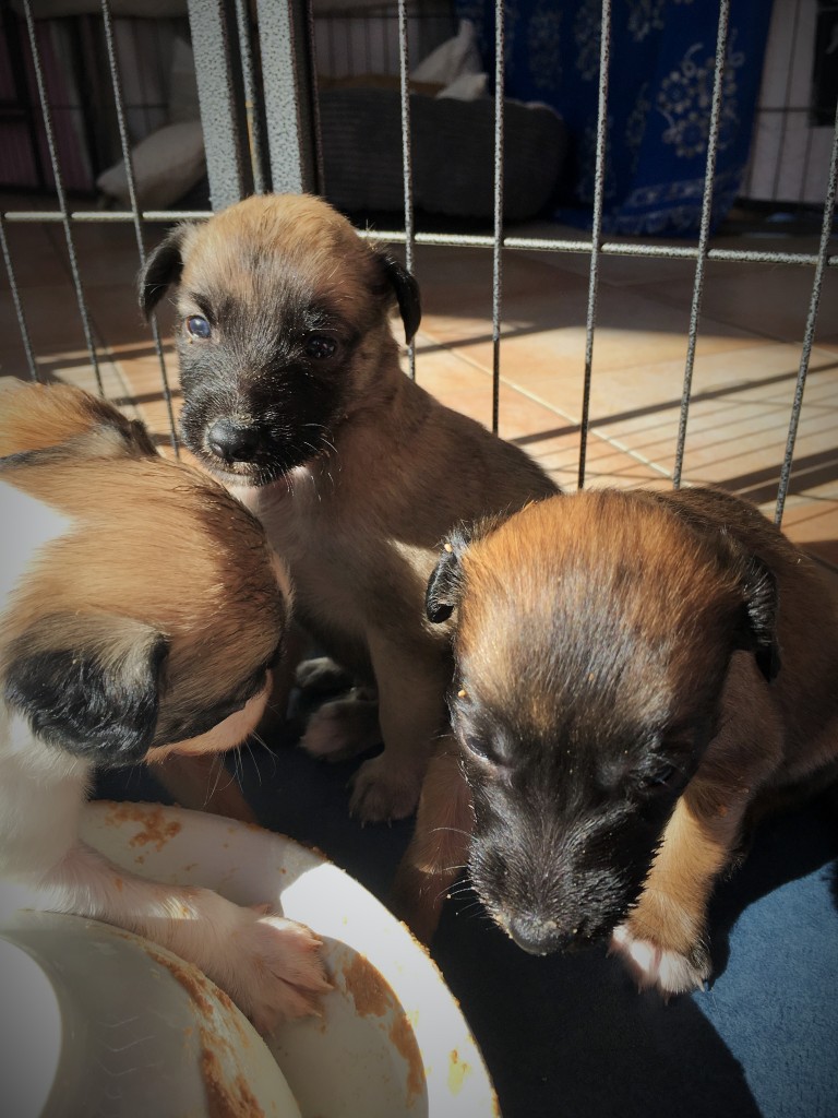 Klarheit in der Mitte